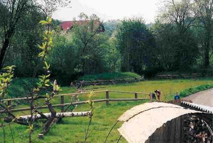 garten12.jpg
